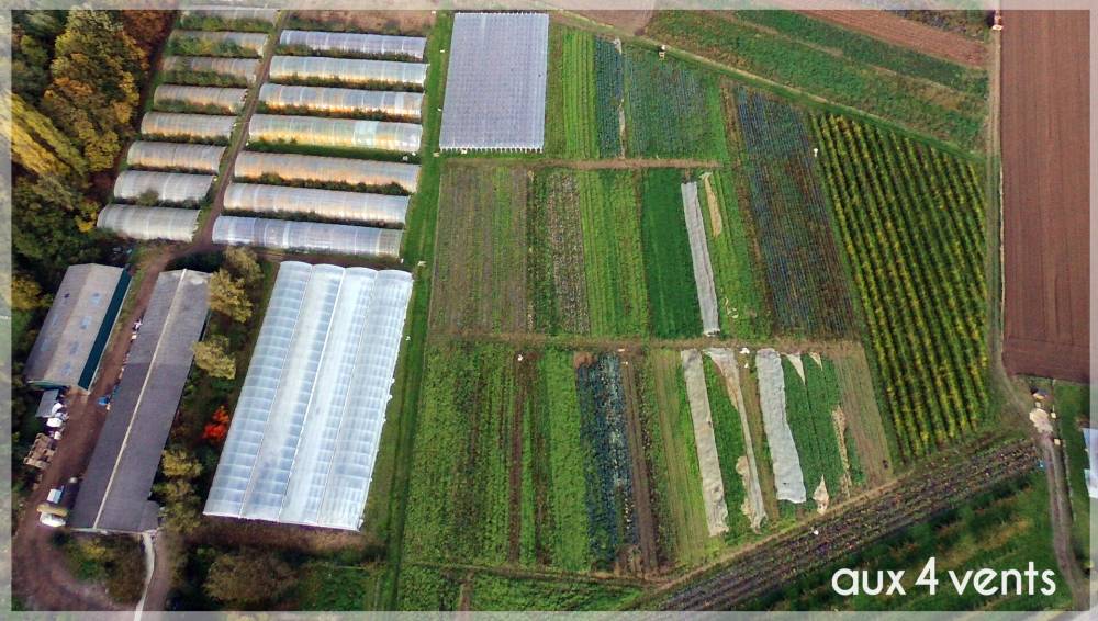 Ferme des 4 vents Hem